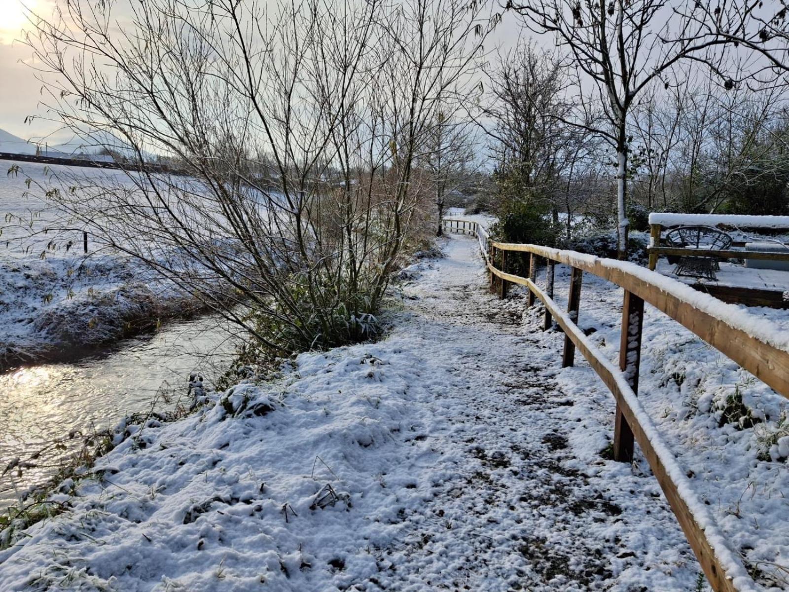 Riverside Cabin Limerick Junction Exterior foto
